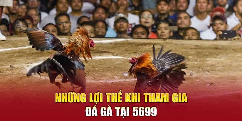 Những lợi thế khi tham gia đá gà tại 5699